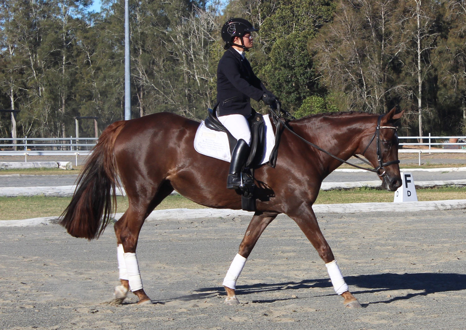 Sui Watts to be Australia’s first representative in INAS Para Equestrian competitions